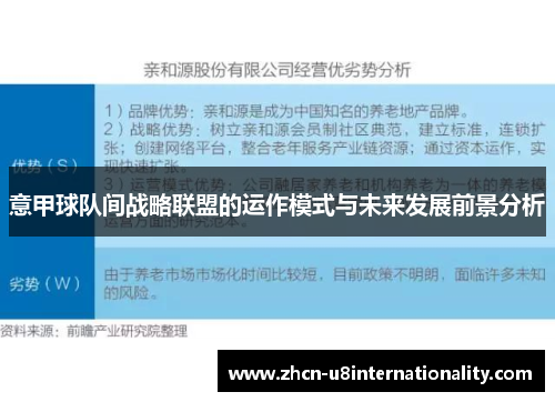 意甲球队间战略联盟的运作模式与未来发展前景分析