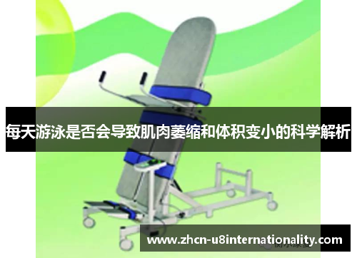 每天游泳是否会导致肌肉萎缩和体积变小的科学解析