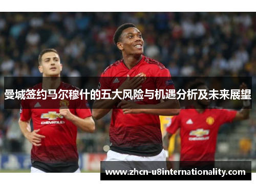 曼城签约马尔穆什的五大风险与机遇分析及未来展望