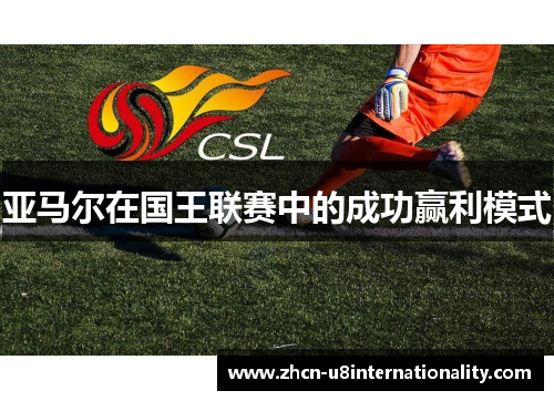 亚马尔在国王联赛中的成功赢利模式