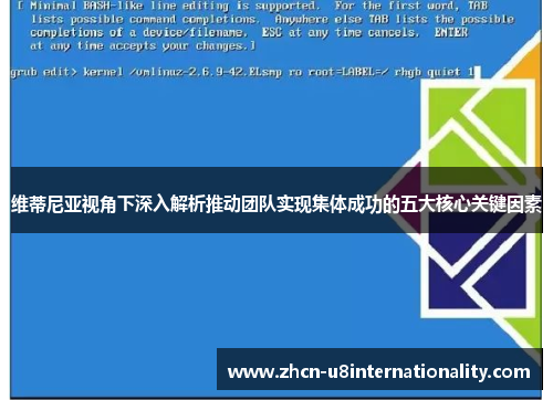 维蒂尼亚视角下深入解析推动团队实现集体成功的五大核心关键因素